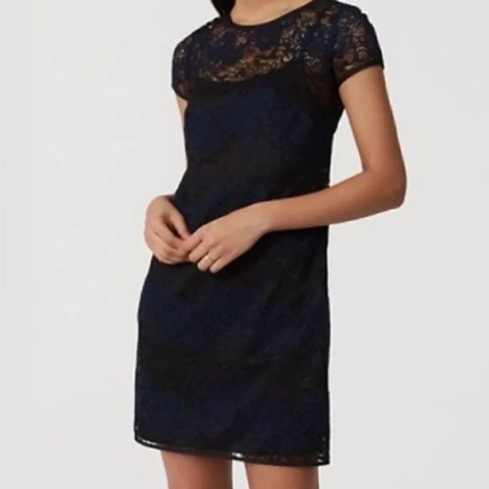 🆕 Ann Taylor Loft Blue/Black Lace Dress size 6 and size 8